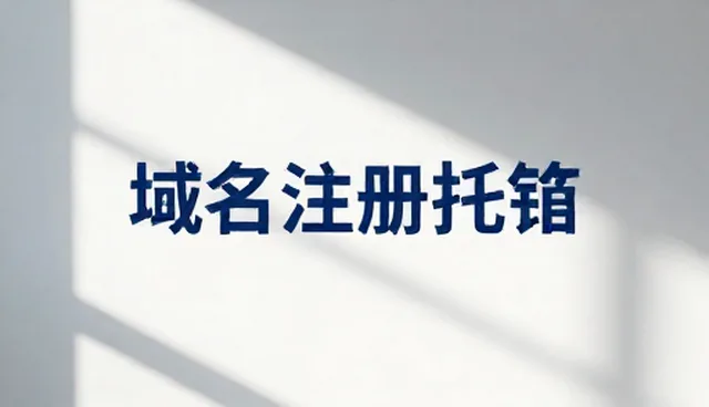 域名资源紧张如何应对，优化托管策略